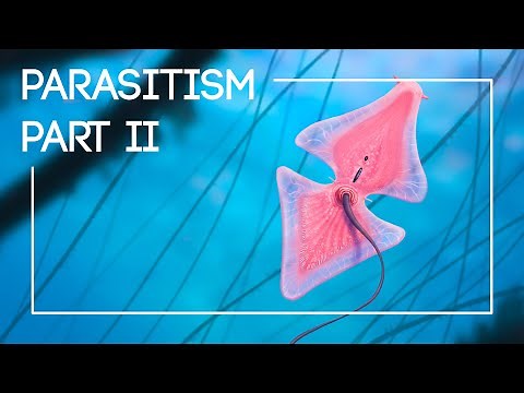 3 More Parasites From an Alien Biosphere | The Isla Project: Episode 3