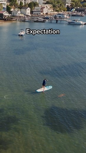 OptusBusiness on TikTok