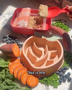 43K views · 5.6K reactions | Introducing Ollie, the fresh meal solution for your dog's wellness! With 50% OFF + FREE WELCOME KIT, get customized meal plans using 100% human-grade ingredients. • Formulated with vet nutritionists • Unlimited routine health screenings for peace of mind  • Thousands of raving reviews ⭐️ Take our quick quiz to find the paw-fect plan for your pup! | Ollie | Facebook