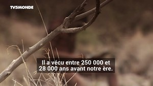 Homme de Néandertal : découverte archéologique exceptionnelle en Italie