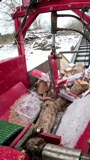 Temu Firewood Processor