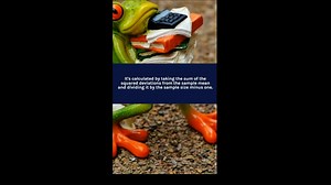 In this video, we discuss why we use n-1 in sample variance instead of n. We explain the concept of sample variance and how it is used to estimate the population variance. We also discuss why using n in the denominator leads to a biased estimate of the population variance and how using n-1 instead corrects for this bias. #statistics #datascience #samplevariance #populationvariance #mathematics #bias #estimation. | The Statisticians