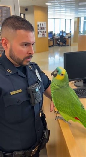 When honesty hits harder than expectations. #youtubeshorts #funny #talkingparot #parrot #shorts