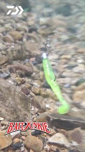 Bait Junkie Minnow & Bait Junkie Jighead makes a perfect lure combination. Its sinking action is attractive to fish at the bottom. 📌Check out the Bait Junkie jigheads and soft plastics from our authorized dealers! 📌 https://daiwa.my/dealers/ Follow us on our socials! Facebook: https://www.facebook.com/daiwamy Instagram: https://www.instagram.com/daiwa_malaysia/ YouTube: https://www.youtube.com/@daiwamalaysiaofficial1450/featured TikTok: https://www.tiktok.com/@daiwamalaysia Website: https://da