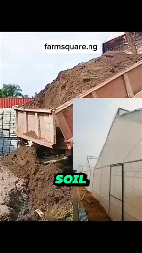 For all the greenhouses we're constructing, we pay close attention to the soil. When most people dream of starting a greenhouse, they picture the structure, the drip lines and the crops. Hardly anyone thinks about the soil. Yet the soil quietly decides whether everything else will work or fail. If you’re setting up a greenhouse, don’t gamble with random soil. Use topsoil that’s already sieved, enriched and bagged for protected cultivation. It takes the stress out of setup and gives your crops a 