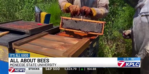 McNeese students engage in unique environmental initiative