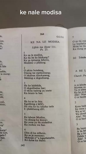 Ke Nale Modisa: Songs, Lyrics, and Meaning