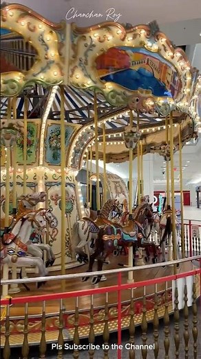 Carousel| Merry-Go-Round : Virginia, USA #merrygoround #carousel #funrides #familytime #joy #love