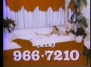 1.4K views · 47 reactions | Who remembers mount airy lodge and there commercial! | The Shirley Drive In | Facebook