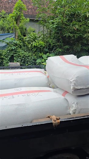 Gas2 😊 | Khrisna GoldFish