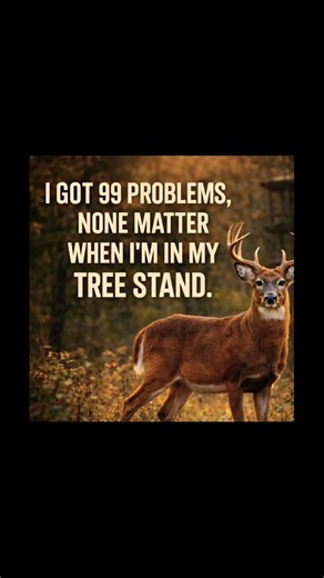 Being in a tree stand helps to put us closer to GOD! #treestand #hunting