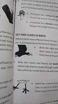 #class 4 EVS, lesson 4"Amazing birds" book exercise and ques/ ans Blue Ocean book semester 2 #edit