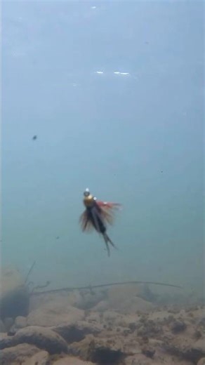 Stop Changing Flies. Fix THIS Instead.