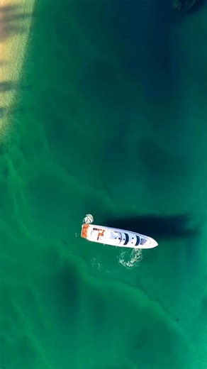 Welcome aboard the late model 2020 Horizon RP100 ✨ RP stands for Raised Pilothouse - and this yacht is all about elevating the journey. Designed to take you exactly where you want to be, in total comfort, with the amenities you’d expect from a true long-range motoryacht. The best part? She’s ready now for immediate delivery 🤝 All this luxury, performance and pedigree for under $8M. #horizonyachtaustralia | Horizon Yacht Australia and New Zealand