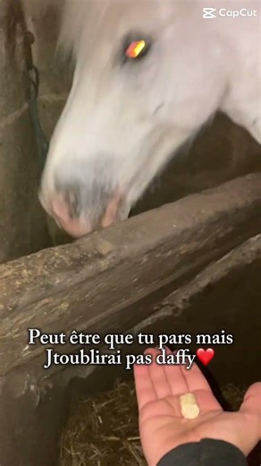 Au revoir mon amour❤️💕