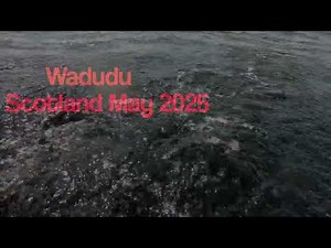 Wadudu. First sail in Scotland 2025. Cape Cutter 19