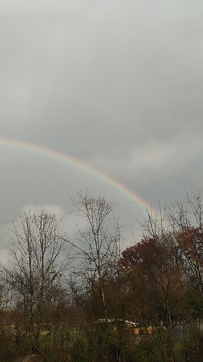 Y'all see the rainbows???? | Scott Wilson | Facebook