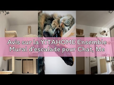 Avis sur la YITAHOME Ensemble Mural d'escalade pour Chat, Meubles en Bois Robuste, 7 étagères avec e