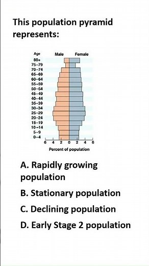 Decode the Pyramid: Is This Population Booming, Stable, or Shrinking?