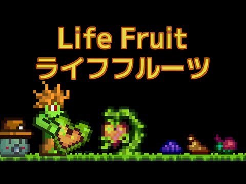 Terrariaコンプリートを目指して…PART210 -Life Fruit ライフフルーツ-