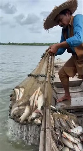 Pulling a Fishing Net Step by Step #fishingprocess #net #fish #shorts