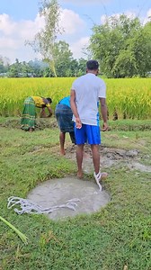 6M views · 47K reactions | The hole is filled with water. | Village Fun 13 | Facebook