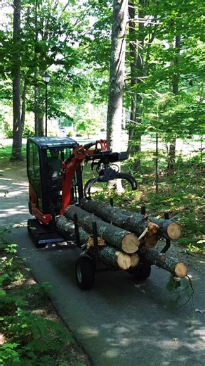 Matt Rinard on Instagram: "Forwarding trailer out here making life easy like normal. Seriously guys, between mini x which I purchased used, grapple, and forwarding trailer (built myself) I’ve got a combined 46k invested in that machine. Absolute no brainer, I don’t ever wanna do tree work without this thing. #miniexcavator #arblife #treelife #arboristsofinstagram #arboristgear #equipment #climbingarborist #treework #excavator #efficiency #smallbusiness"
