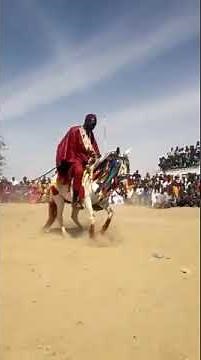 Le cheval qui danse au rythme des tambours