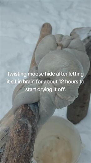 #foryou #braintanning #winter #tanning #hidetanning