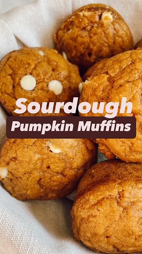 Emily Christensen | Easy Sourdough Recipes & Tips on Instagram: "A quick and easy last minute Halloween treat! These sourdough pumpkin muffins are so moist and delicious. Full of flavor and so yummy with white chocolate chips added to them. Comment pumpkin for the recipe or get it at countryroadssourdough.com/pumpkinsourdoughmuffins/ #pumpkin #halloween #muffins #snacks #sourdough #pumpkinmuffins"