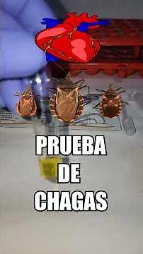 🫀Como hacer la Prueba Rápida de la Enfermedad de CHAGAS (Tripanosomiasis Americana)☠️