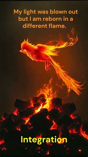 Integration #shorts #viral