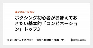 ボクシング初心者がおぼえておきたい基本的「コンビネーション」トップ3 - ベストボディをめざせ！【筋肉＆格闘技＆スポーツ】最強トレーニング研究所
