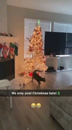 Christmas Fails on Instagram: "Christmas is a time of joy, but sometimes things don't go as planned, resulting in hilarious Christmas fails! Whether it's a decorating disaster, a gift-giving blunder, or a holiday cooking mishap, these funny moments remind us that the holiday season doesn't have to be perfect to be memorable. Embrace the imperfections and share a laugh—because sometimes the funniest Christmas memories come from the things that go wrong! #ChristmasFails #HolidayMishaps #ChristmasH