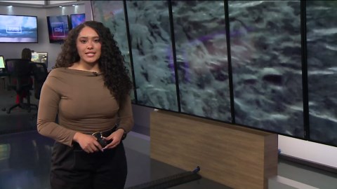 Idaho Fish and Game release steelhead for their Pacific Ocean migration