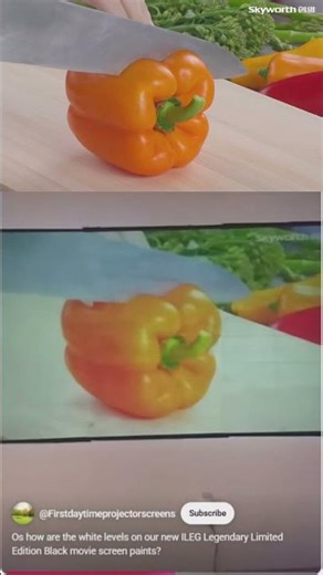 ILEG Legendary Limited Edition Black movie screen the world's ugliest looking projection screen!