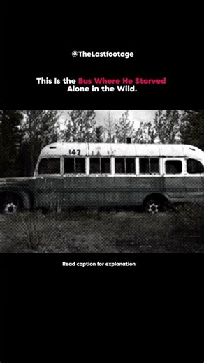 Freedom felt close.Rescue was closer.