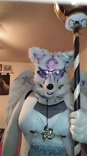 The Robot Wolf who can not lie on TikTok