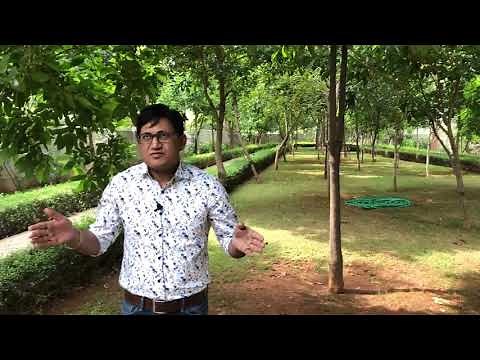 SOBHA Forest View Property Review - Track2Realty