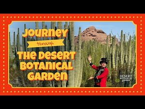 STUNNING #Cactus Paradise 🌵 Desert Botanical Garden, Phoenix