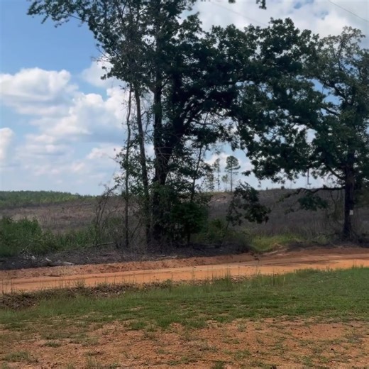58K views · 2.4K reactions | In the small community of Julia, Georgia—wherever that may be—this old Baptist church has stood since 1852. Nearly 175 years later, it still appears active, a rare link to the earliest days of the congregation and the community it served. Places like this remind us how deep history runs, even in the quietest corners of rural Georgia. #AdventuresIntoHistory #GeorgiaHistory #BaptistChurch #RuralGeorgia #HistoricChurch | Adventures Into History | Facebook