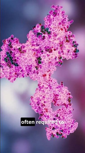 Antibody Humanization: Why CDR Grafting Often Fails