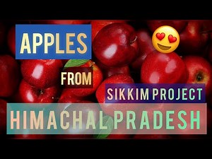 Apples from Himachal Pradesh { CASE STUDY }