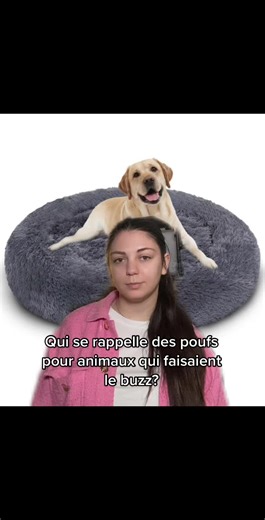 Le premier lit chien pour humain 😴