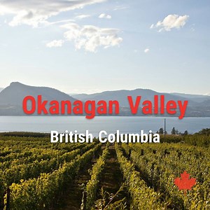 153K views · 787 reactions |  Drop in for a tasting (or two) at these award-winning wineries across Canada  | Canada Keep Exploring | Facebook
