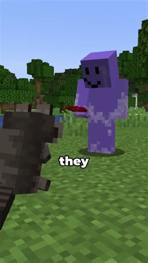 Is there a raccoon in Minecraft? #minecraft