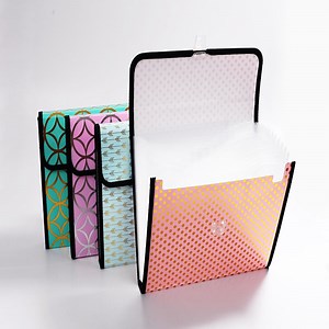 [Hot Item] Stationery, Expending File Folder, Clip File, Document Bag, Display Book, Ring Binder