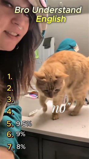 7 Cats that forgot they are animals! 🤯🐈 #Shorts #FunnyCats