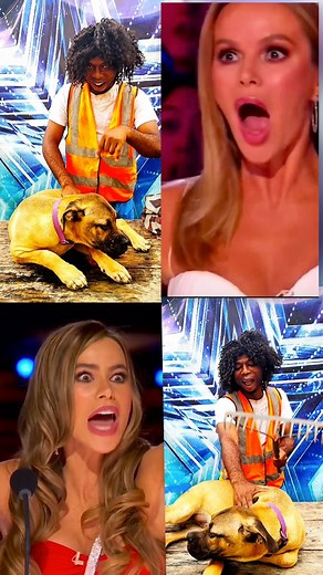 566K views · 3.7K reactions | Dog perform strange magic and left everyone speechless wow #humor #AGT #trendingvideo | Hot Angez Tv | Facebook