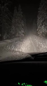 1.7M views · 32K reactions | A lone van idles at a dark forest rest...